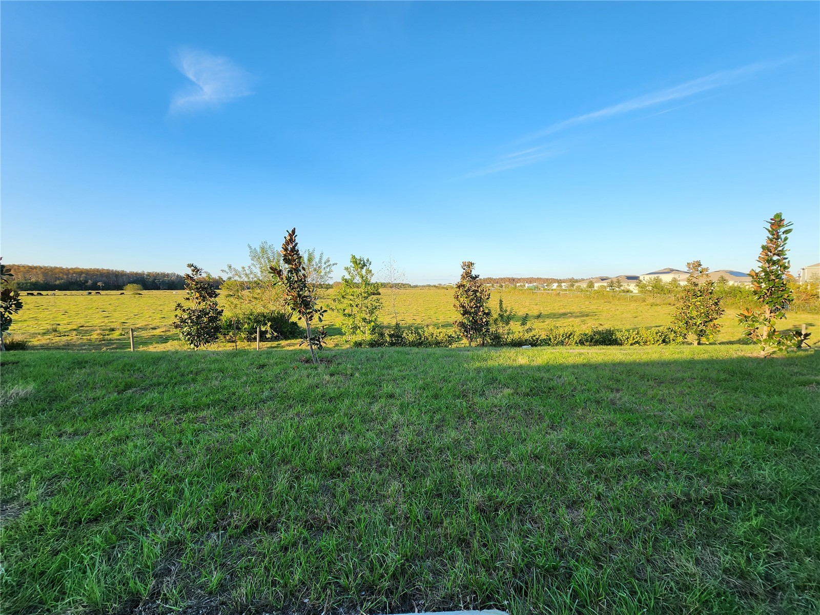 5411 Preserve Boulevard Saint Cloud FL 34772 O6375836 image13