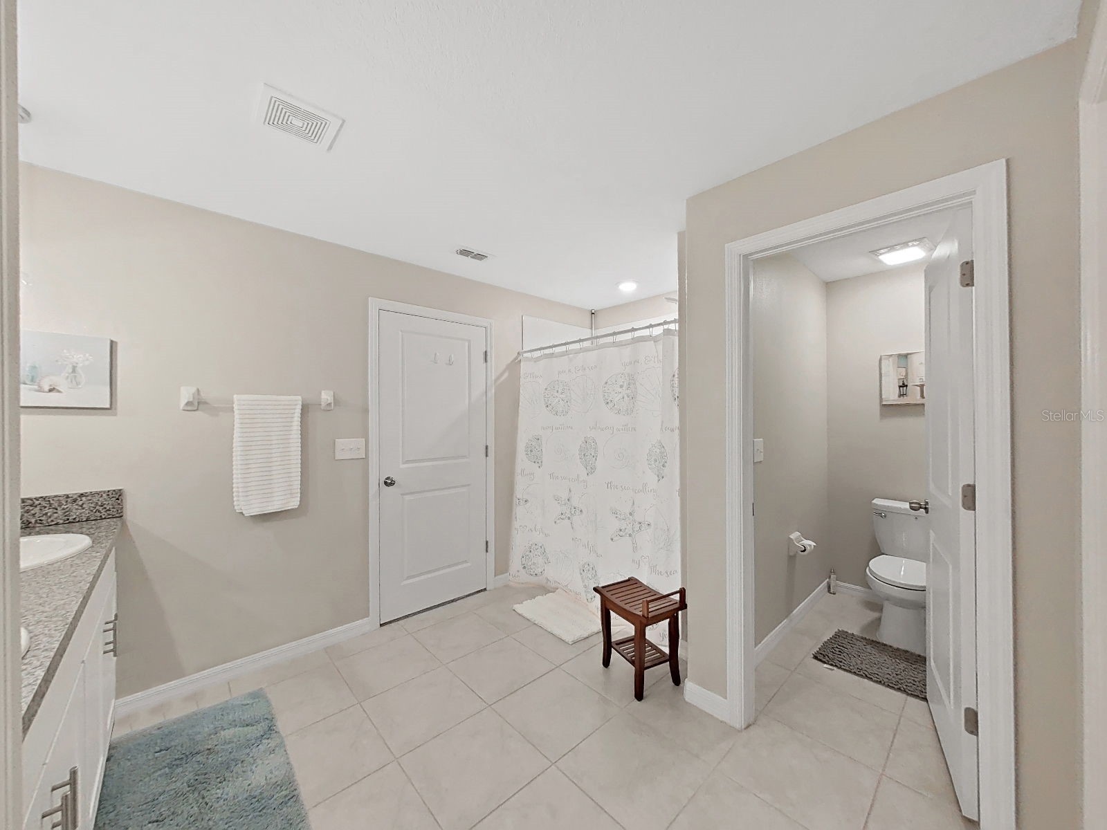 5413 Blue Azure Drive Wimauma FL 33598 TB8521327 image39