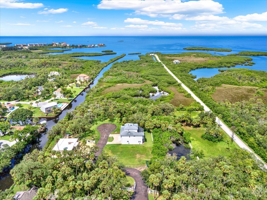 5413 Tropical Woods Court Port Richey FL 34668 W7878386 image1