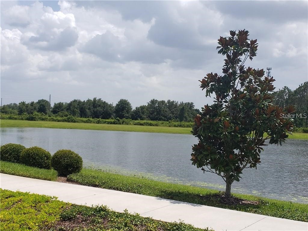 5414 Manchester Drive Saint Cloud FL 34771 O6398557 image69
