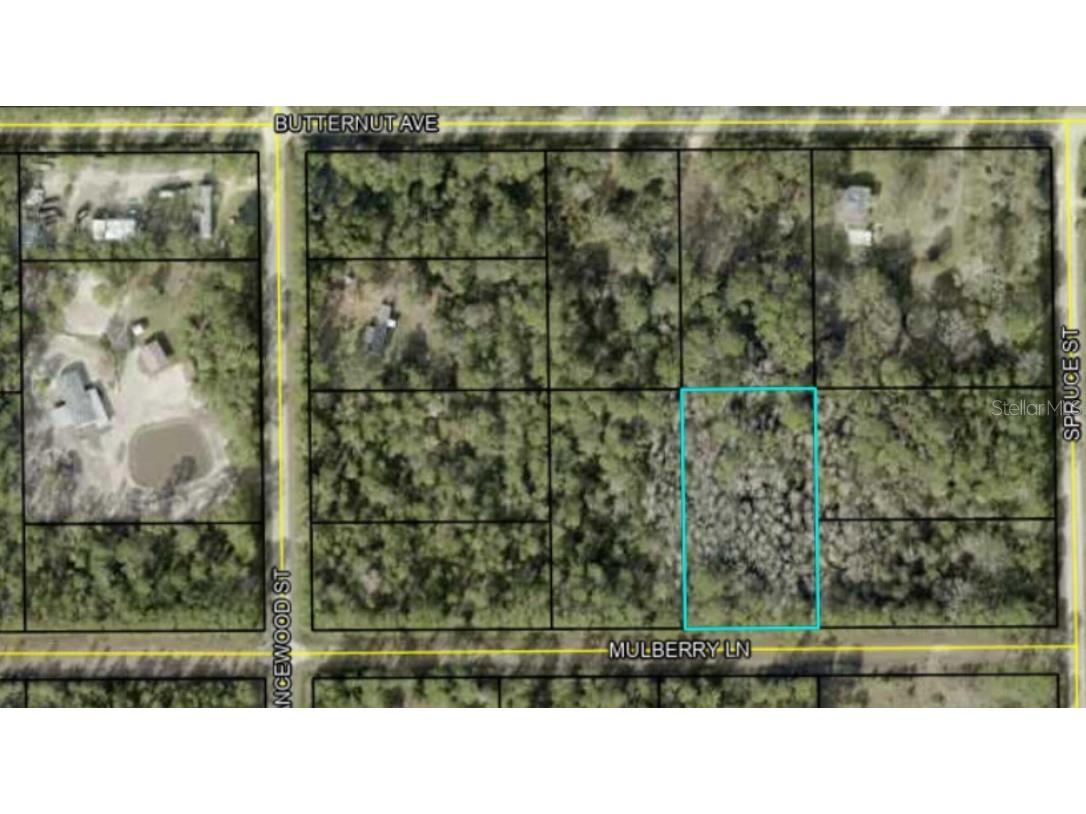 5414 Mulberry Lane Bunnell FL 32110 O6315681 image1