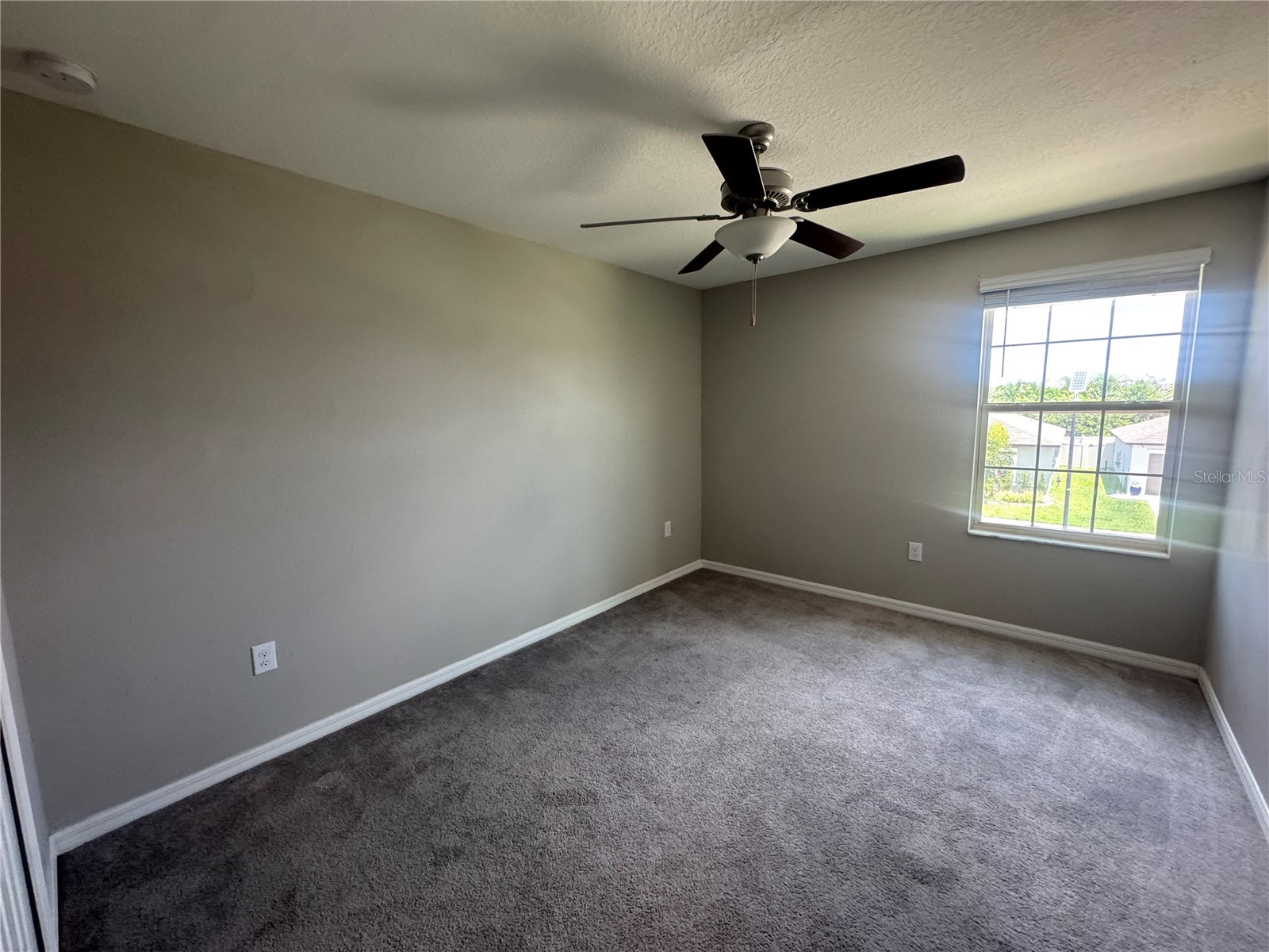 5415 Amaryllis Garden Street Apollo Beach FL 33572 TB8519990 image12
