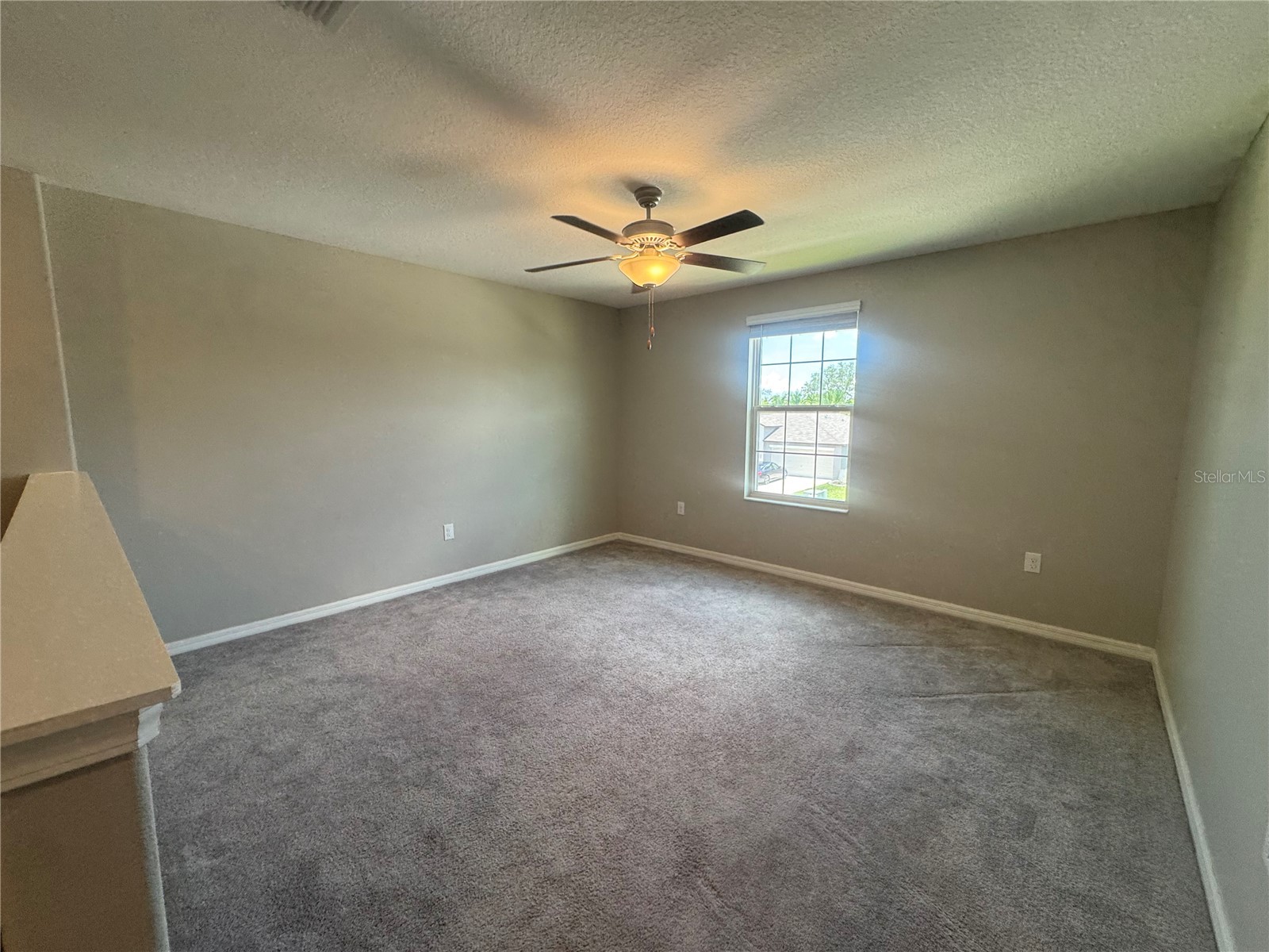 5415 Amaryllis Garden Street Apollo Beach FL 33572 TB8519990 image18
