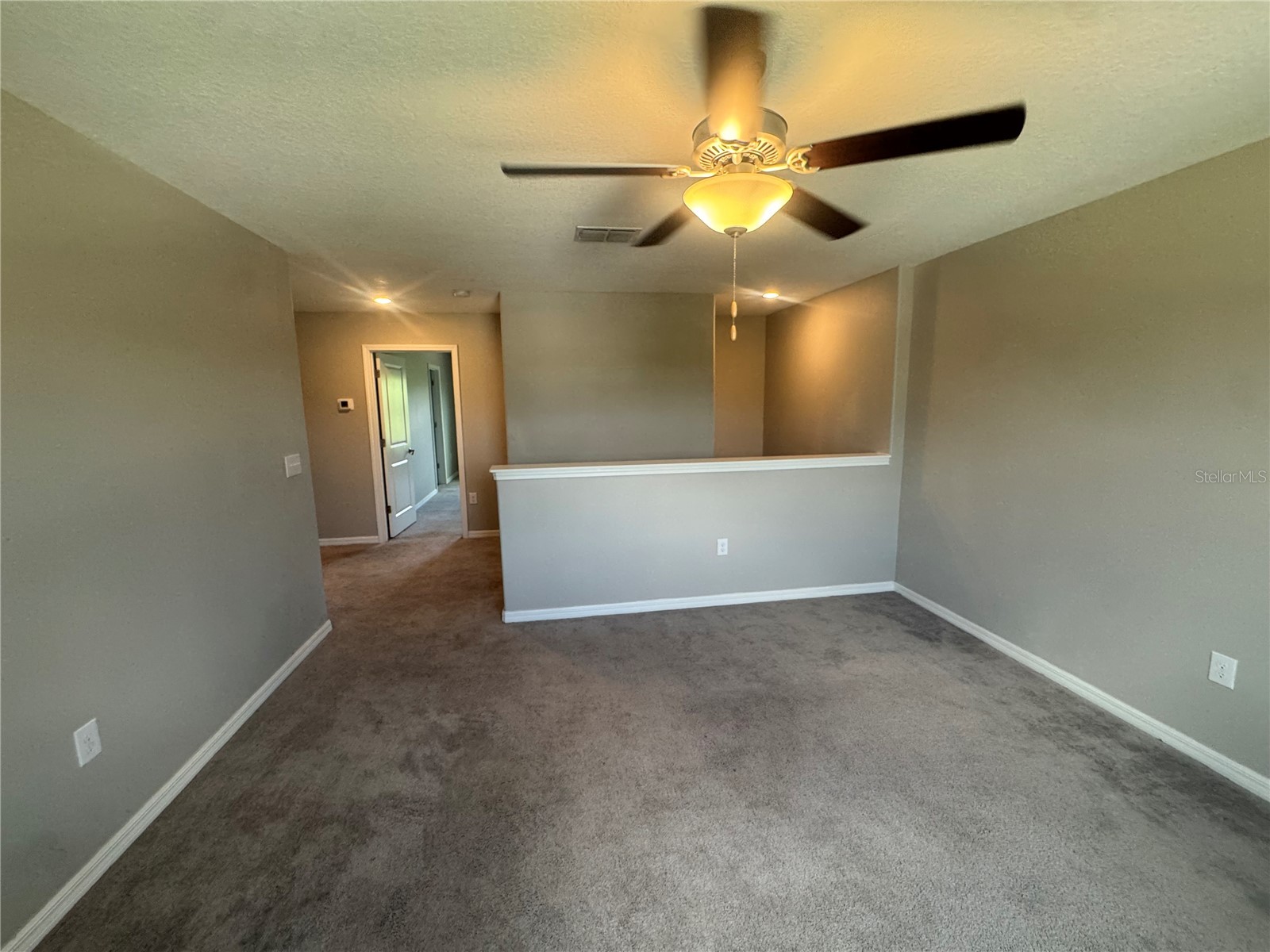 5415 Amaryllis Garden Street Apollo Beach FL 33572 TB8519990 image19