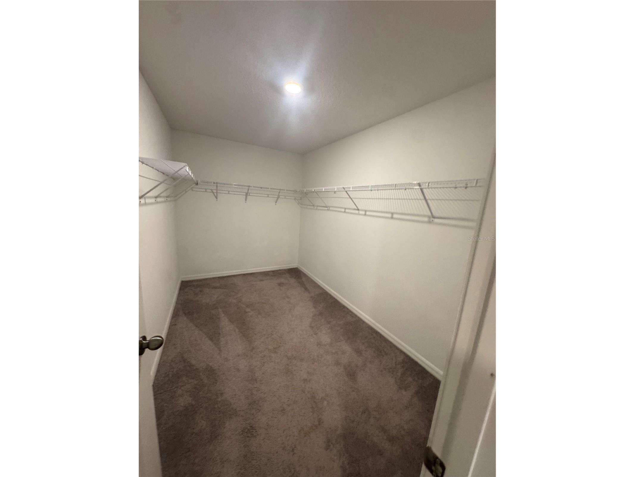 5415 Amaryllis Garden Street Apollo Beach FL 33572 TB8519990 image24