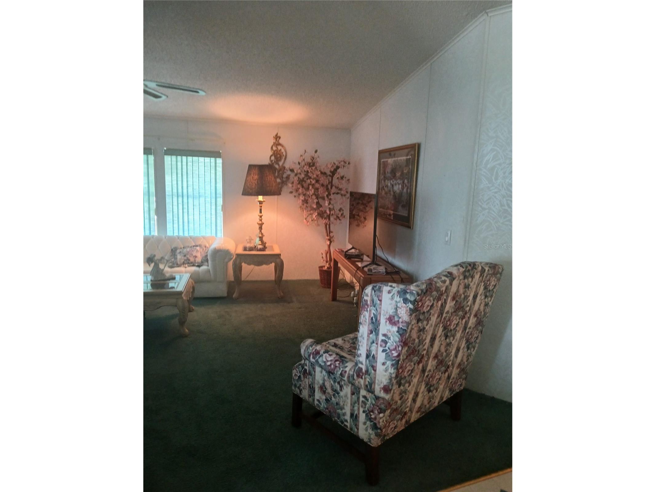 5415 Jacob Avenue Polk City FL 33868 O6412716 image3