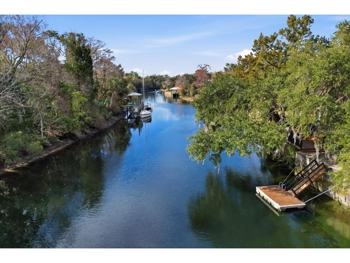 5415 Riverside Drive Yankeetown FL 34498 TB8462066 image43