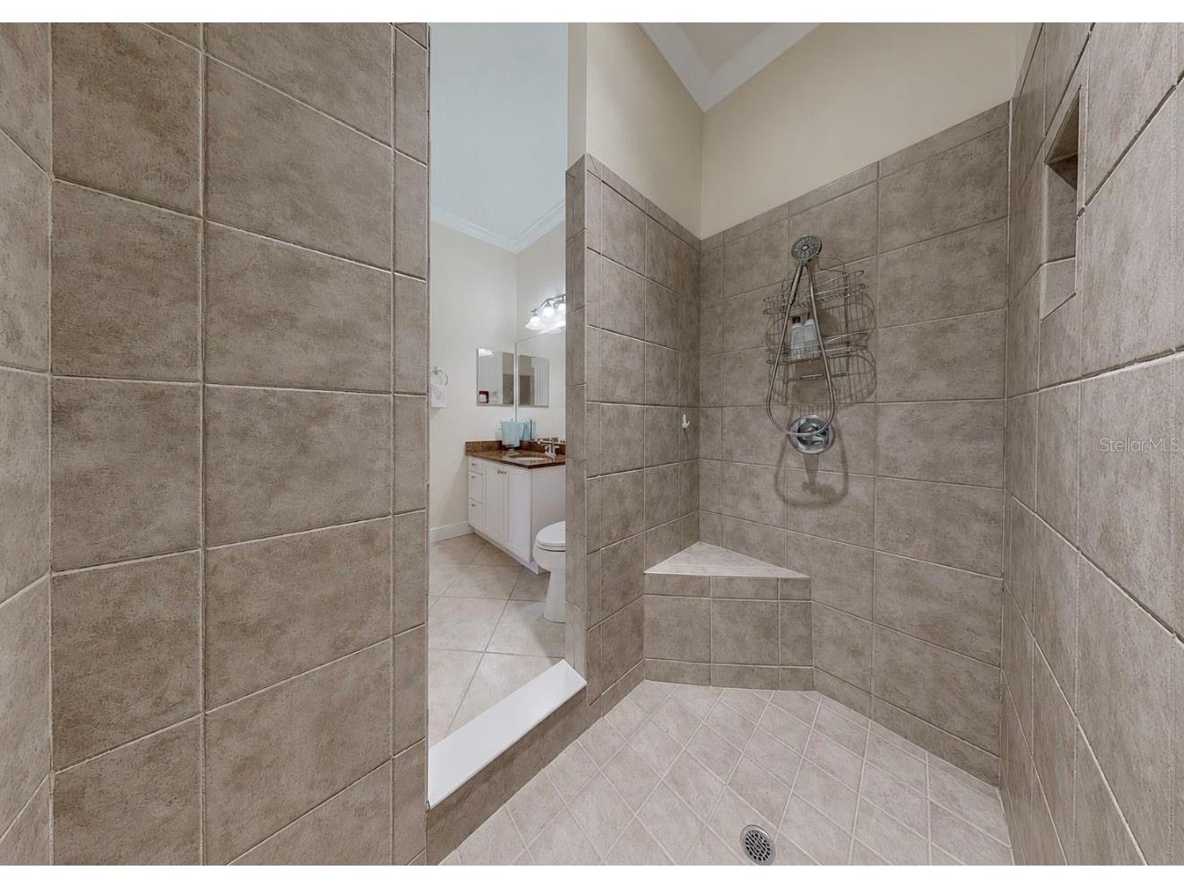 5416 Merritt Island Drive Apollo Beach FL 33572 TB8521903 image48
