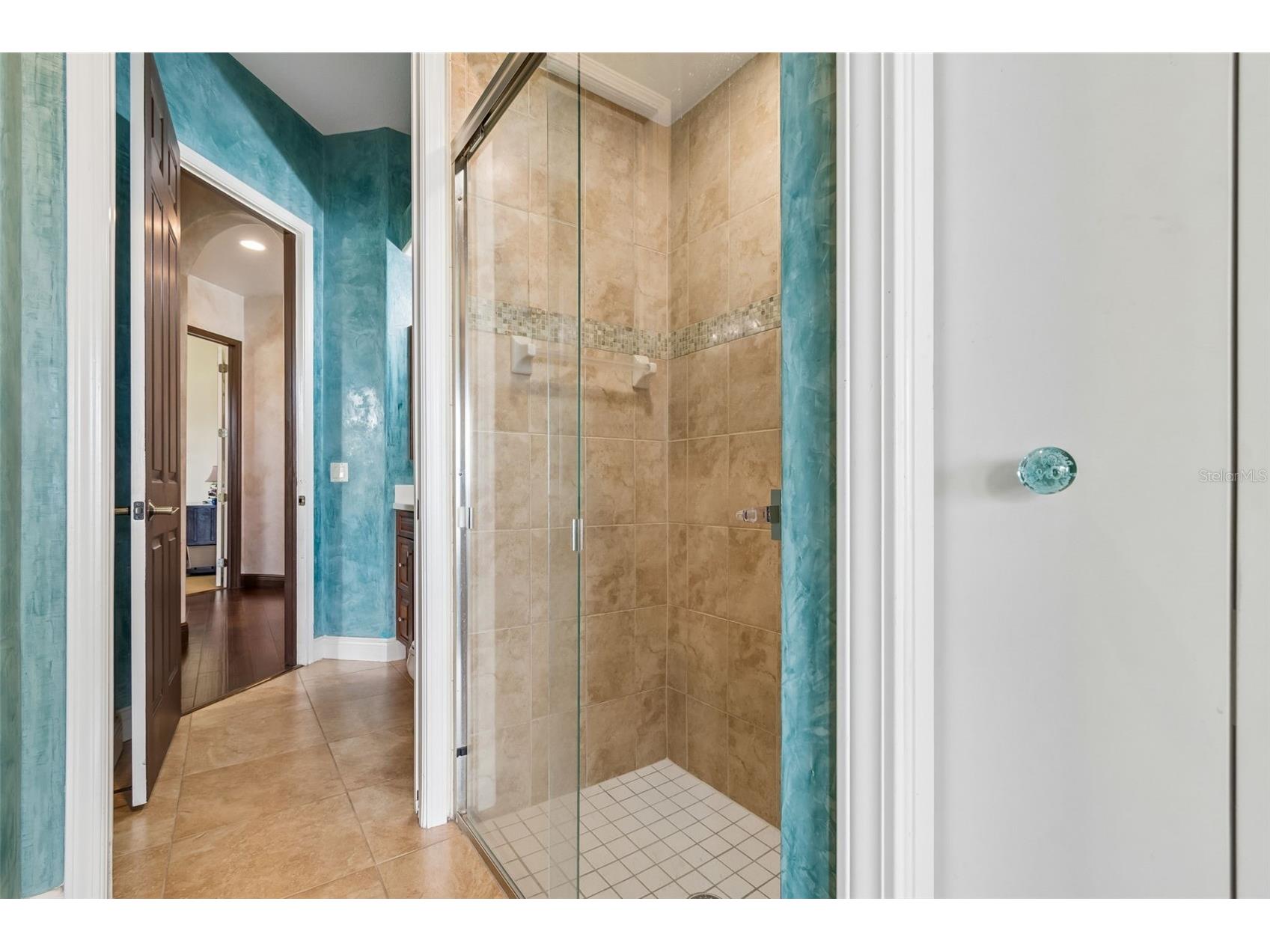5416 Tybee Island Drive Apollo Beach FL 33572 TB8488221 image61