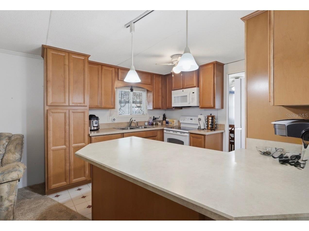 5417 Amanda Street Zephyrhills FL 33542 TB8528218 image14