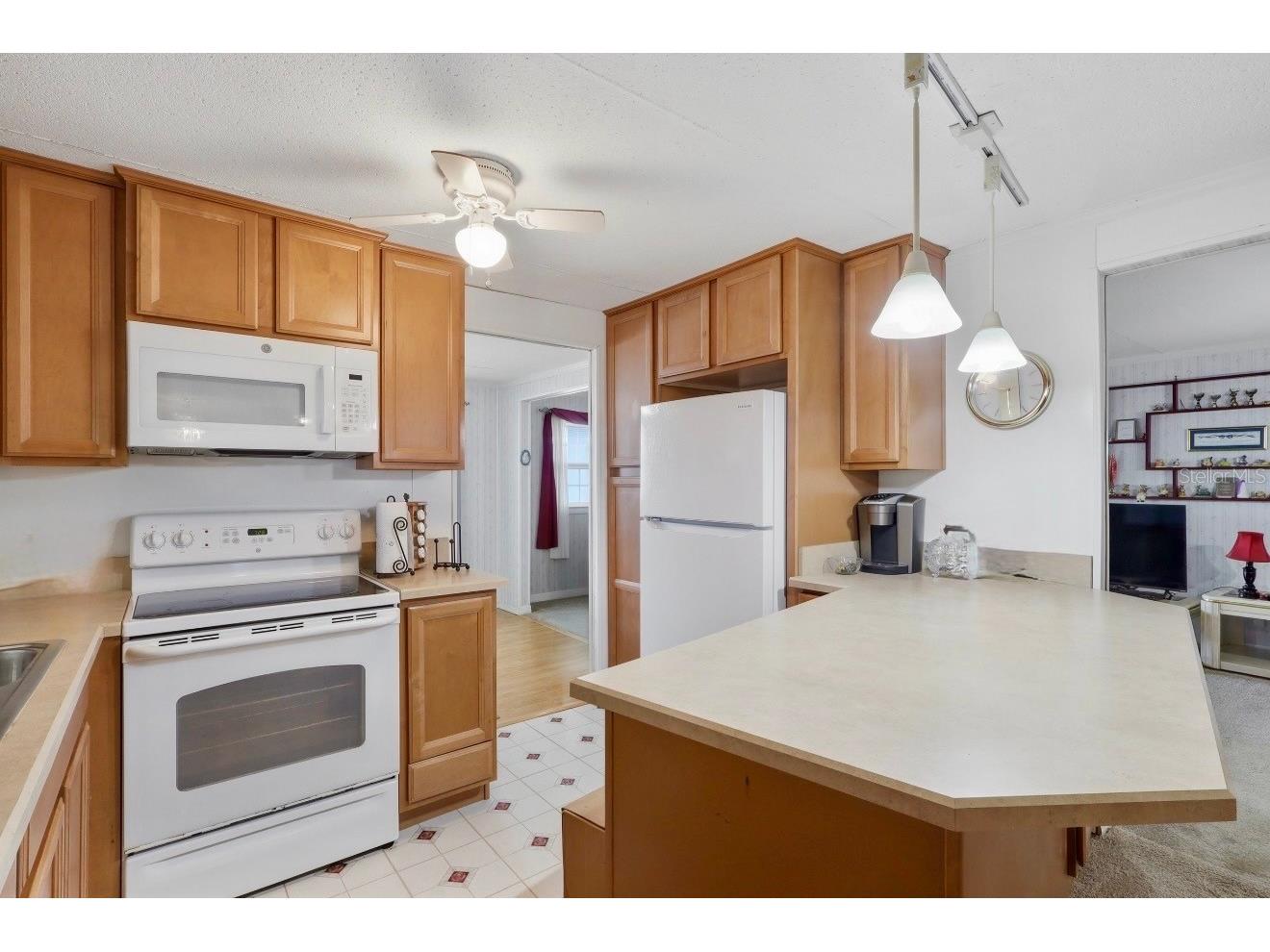 5417 Amanda Street Zephyrhills FL 33542 TB8528218 image15