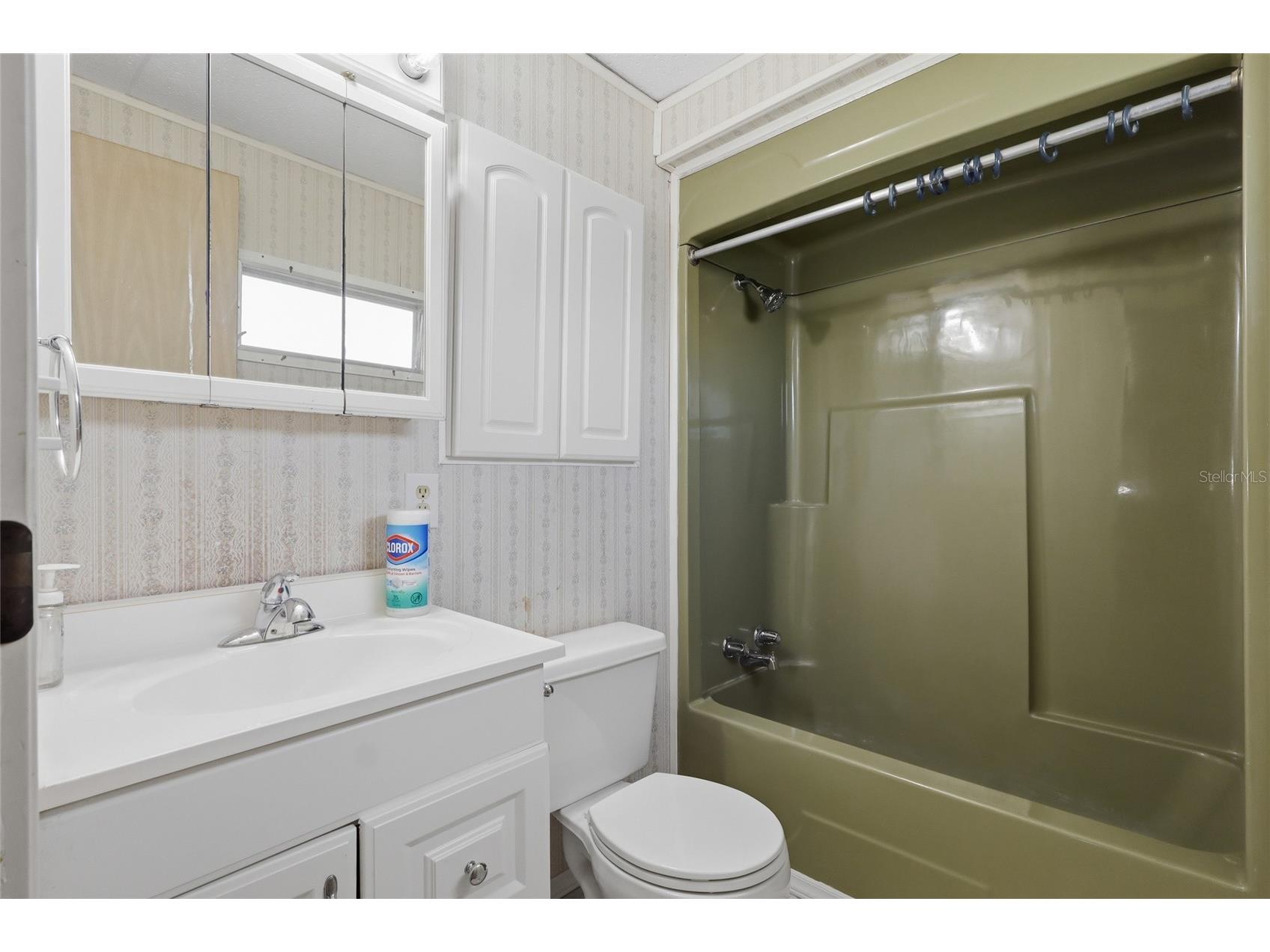 5417 Amanda Street Zephyrhills FL 33542 TB8528218 image20