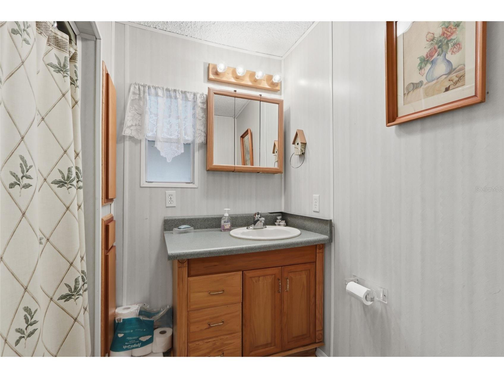 5417 Amanda Street Zephyrhills FL 33542 TB8528218 image21