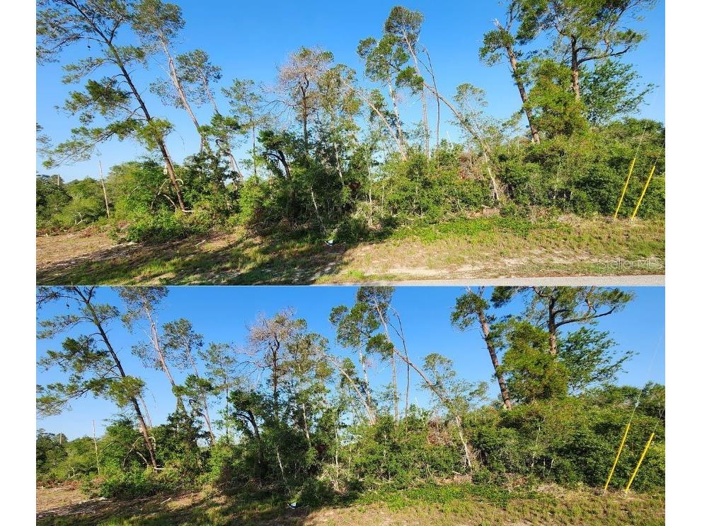 5417 Moongate Road Spring Hill FL 34606 TB8386942 image2