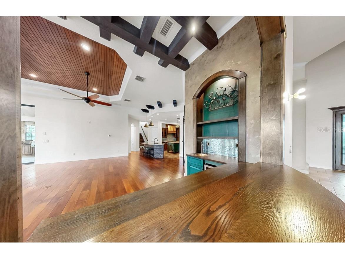 5417 Tybee Island Drive Apollo Beach FL 33572 TB8391145 image36