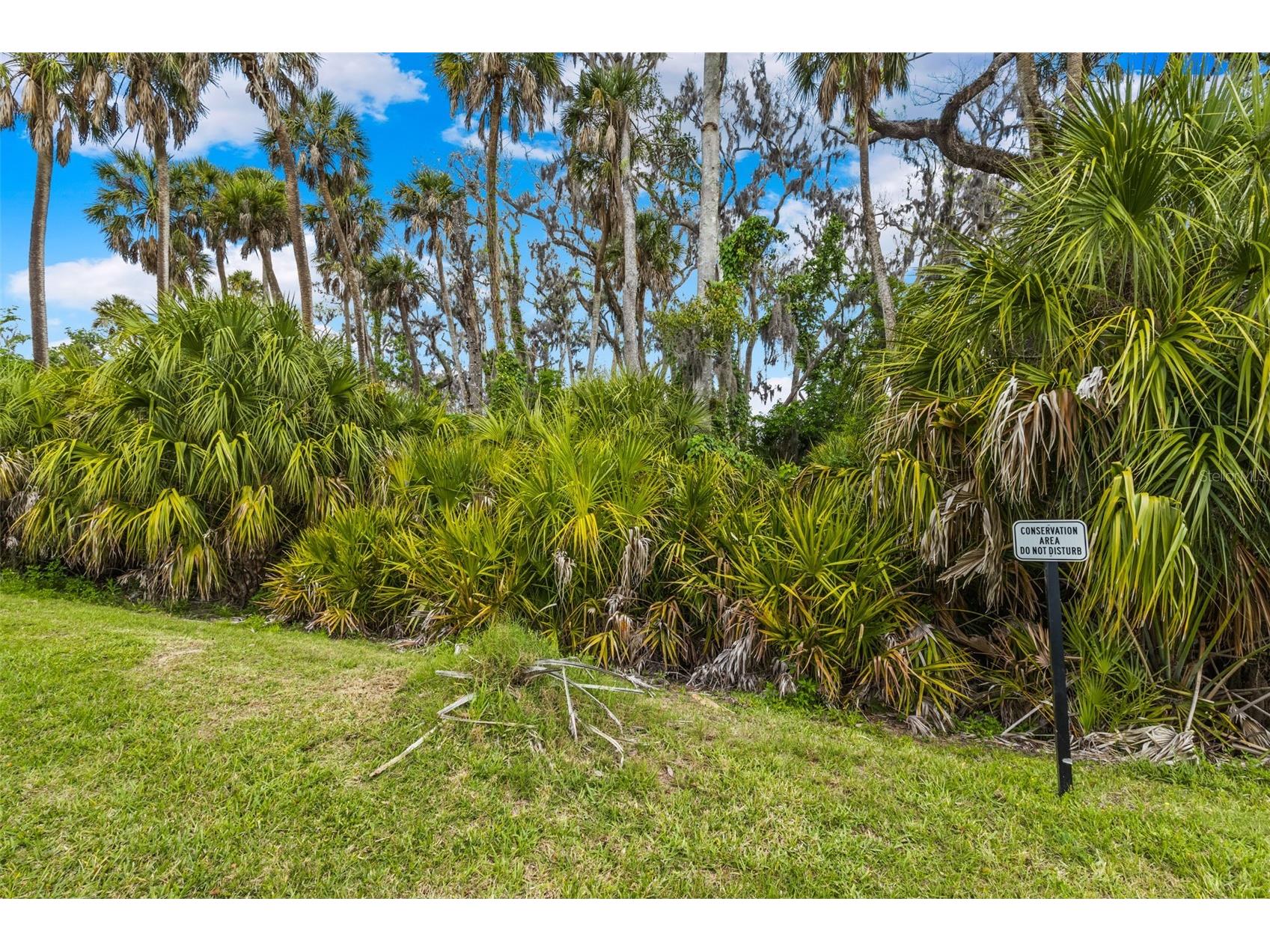 5418 Badini Way Palmetto FL 34221 A4686950 image36