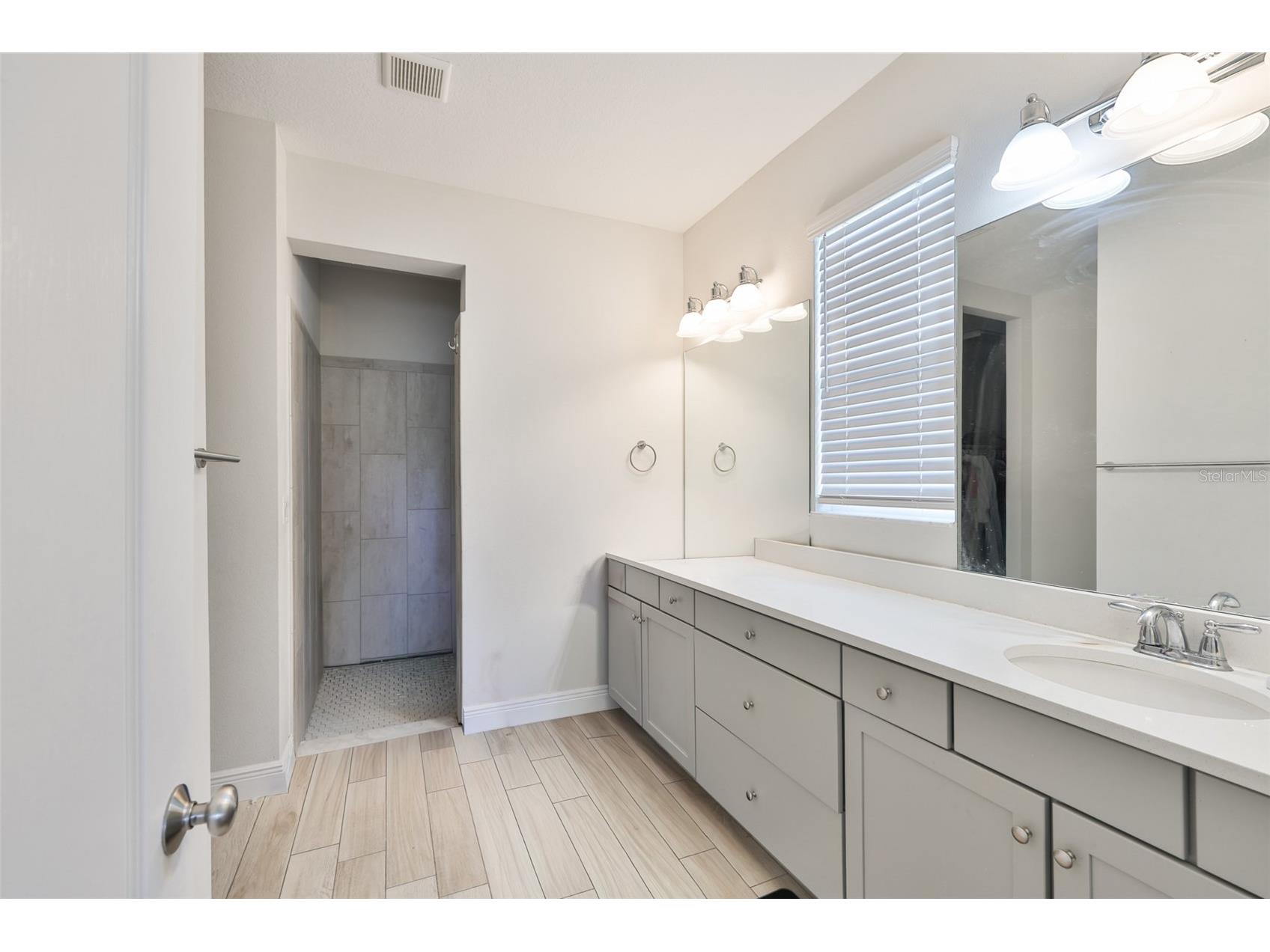 5418 Silver Sun Drive Apollo Beach FL 33572 TB8478446 image21