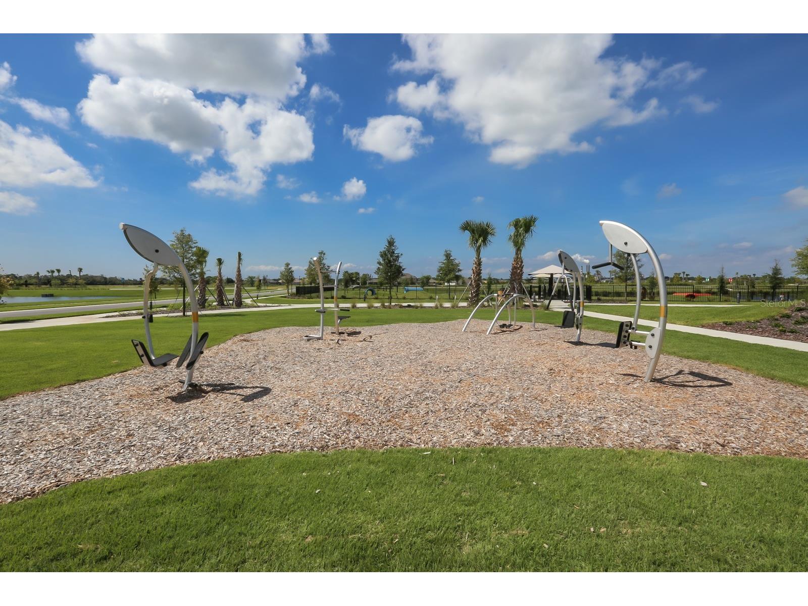 5418 Silver Sun Drive Apollo Beach FL 33572 TB8478446 image48