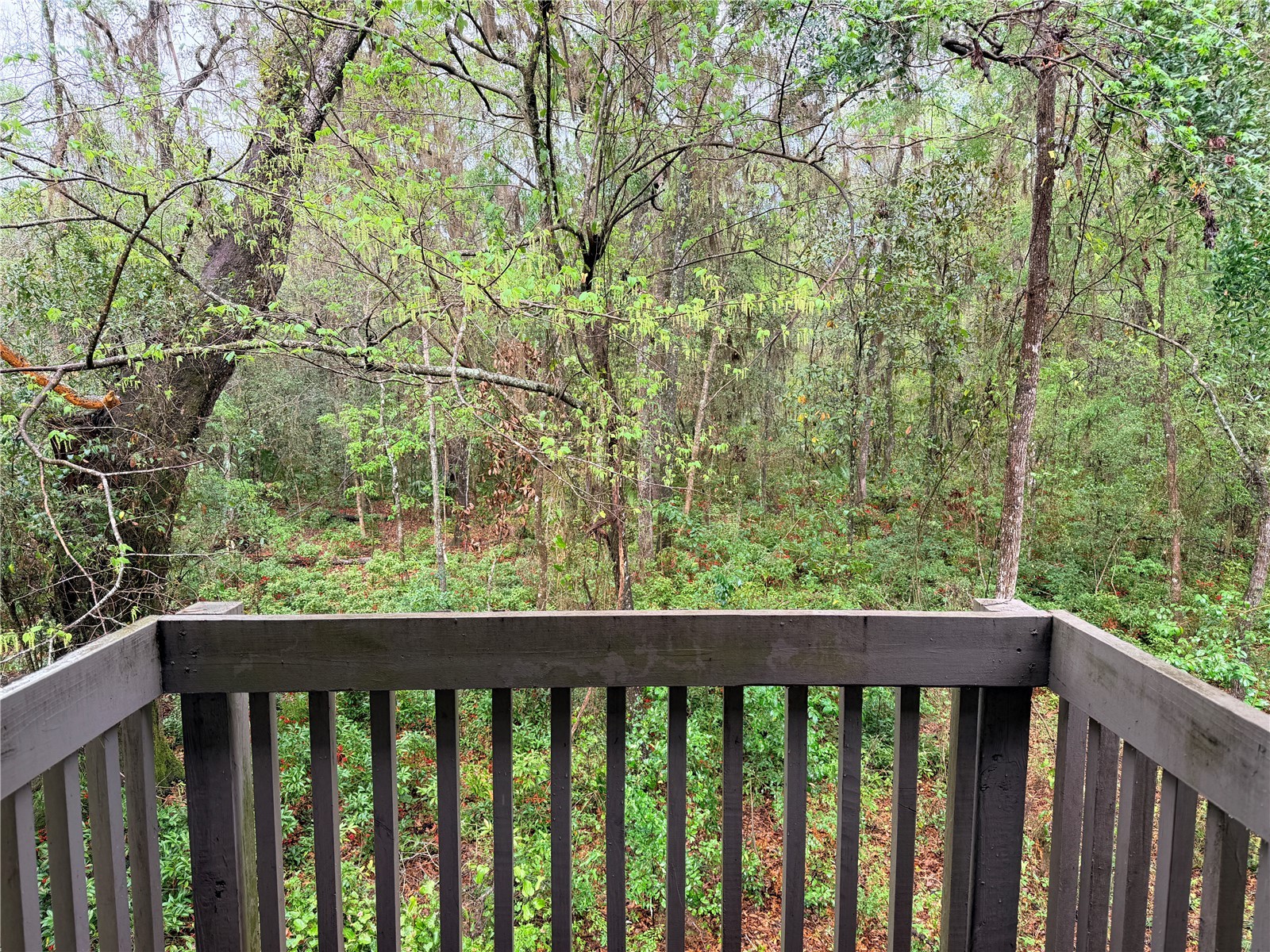 5418 SW 4th Place Gainesville FL 32607 GC538413 image17