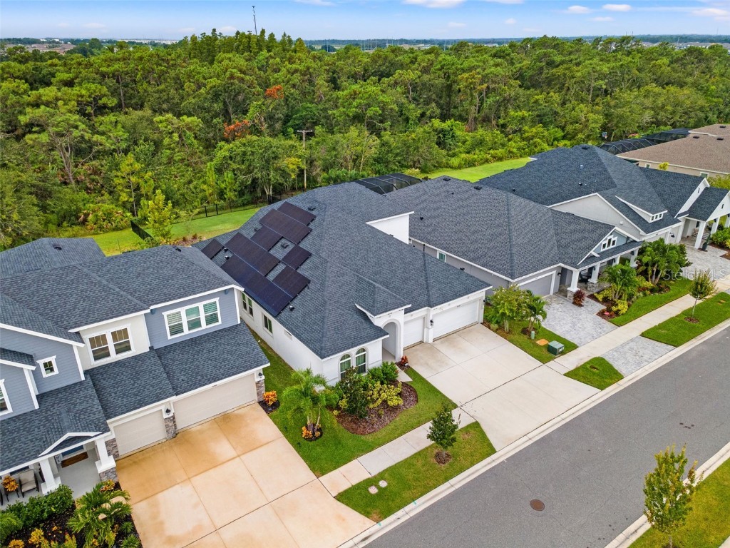 5418 Wayfarer Avenue Apollo Beach FL 33572 TB8423759 image3