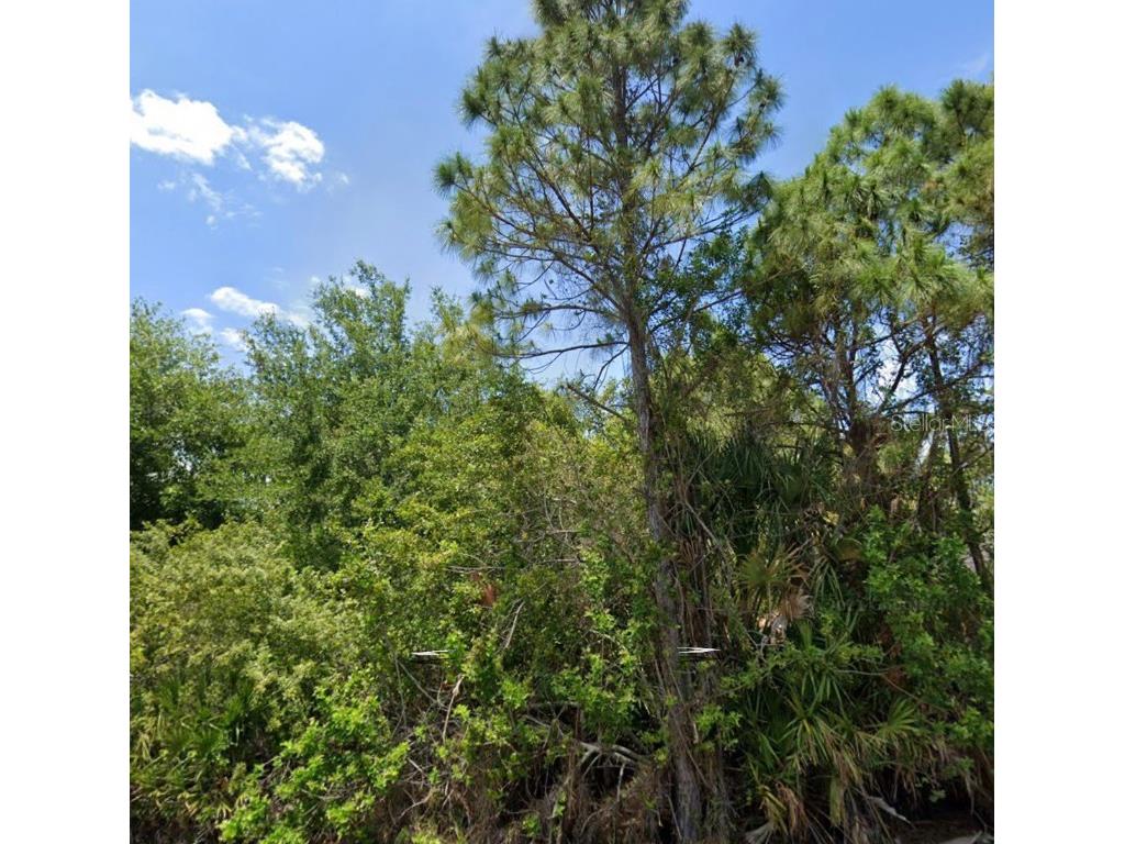 5419 Chard Terrace Port Charlotte FL 33981 A4578203 image1