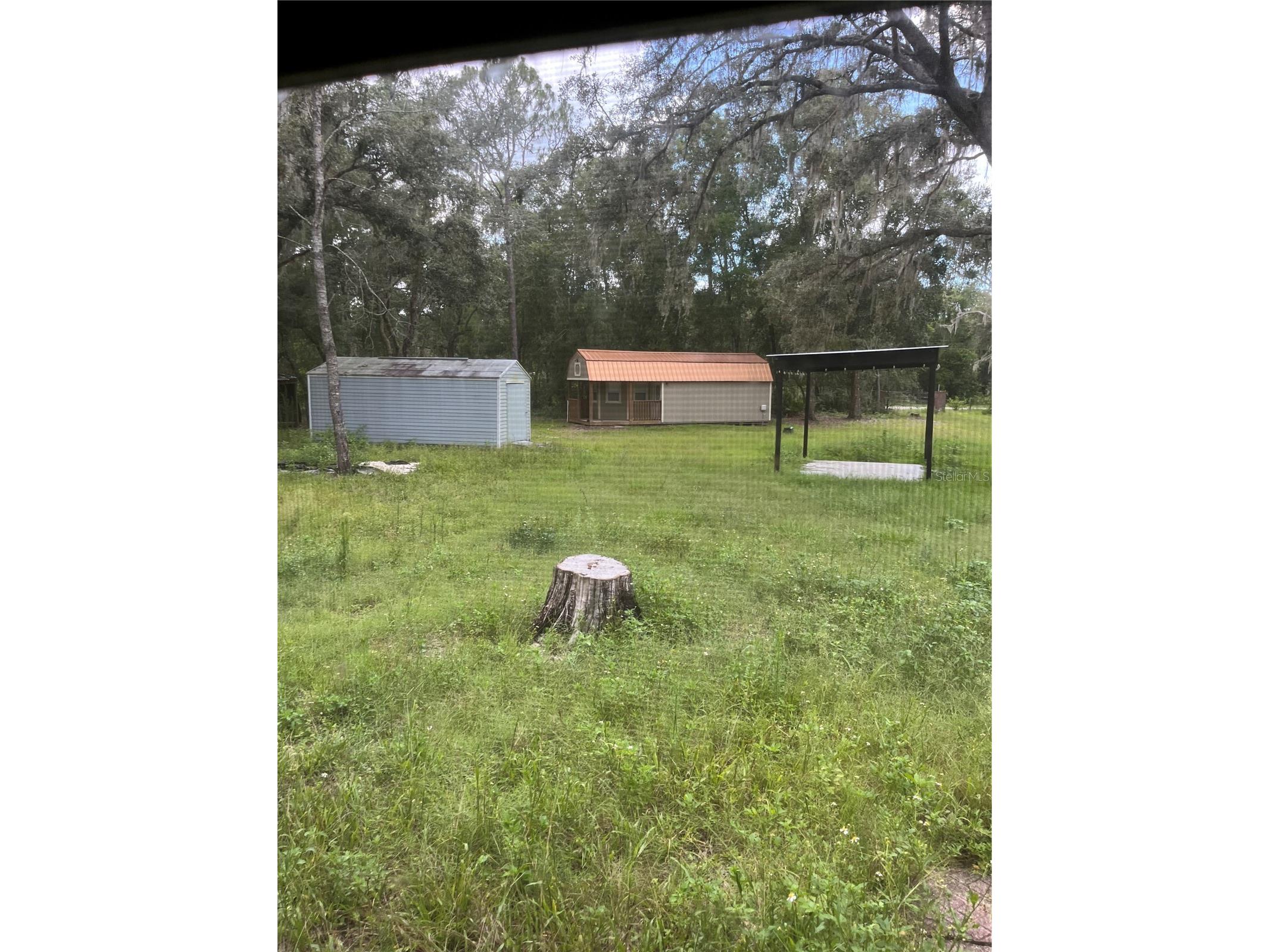 5419 Cyril Drive Dade City FL 33523 TB8413165 image3