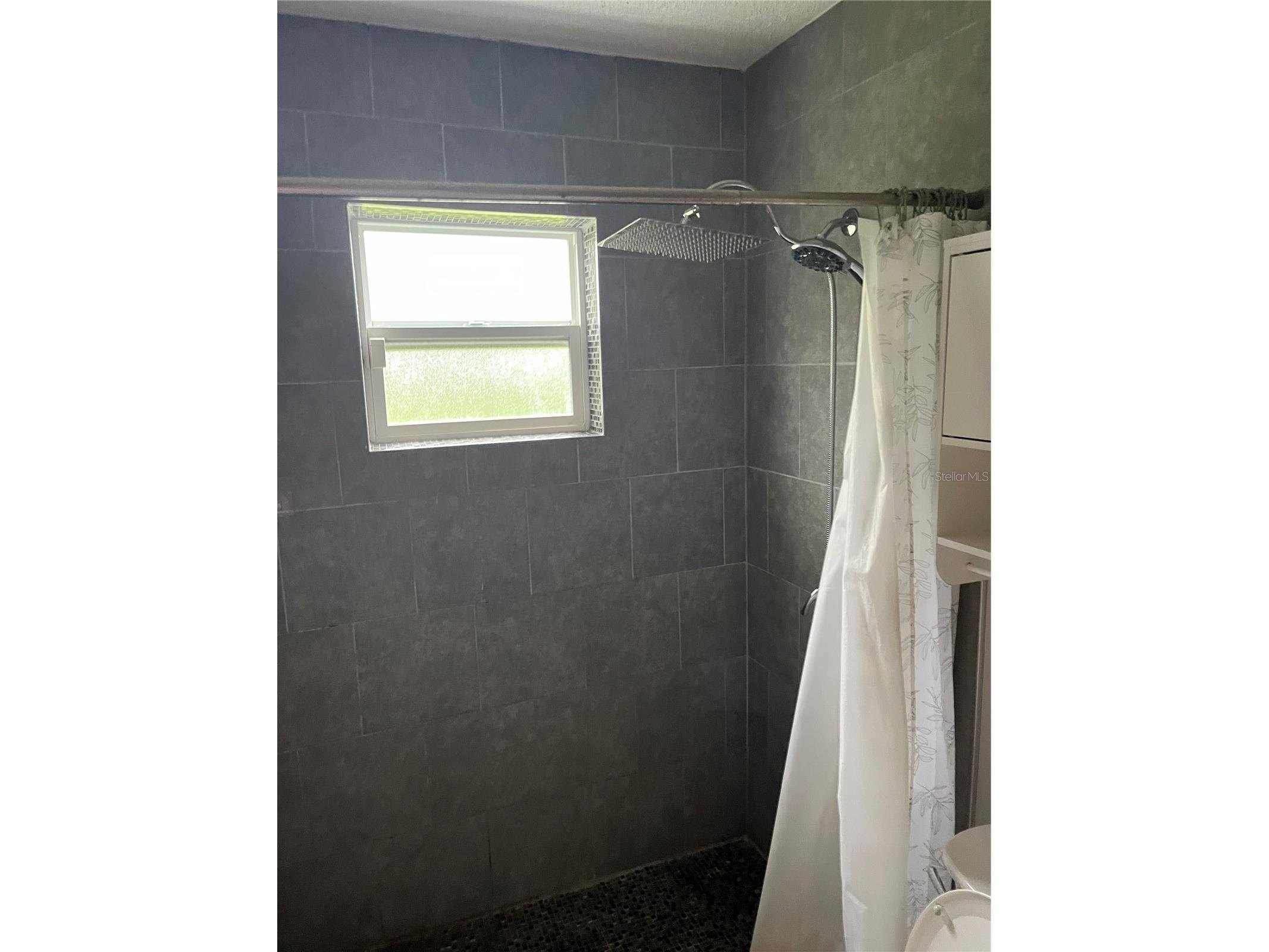 5419 Cyril Drive Dade City FL 33523 TB8413165 image4