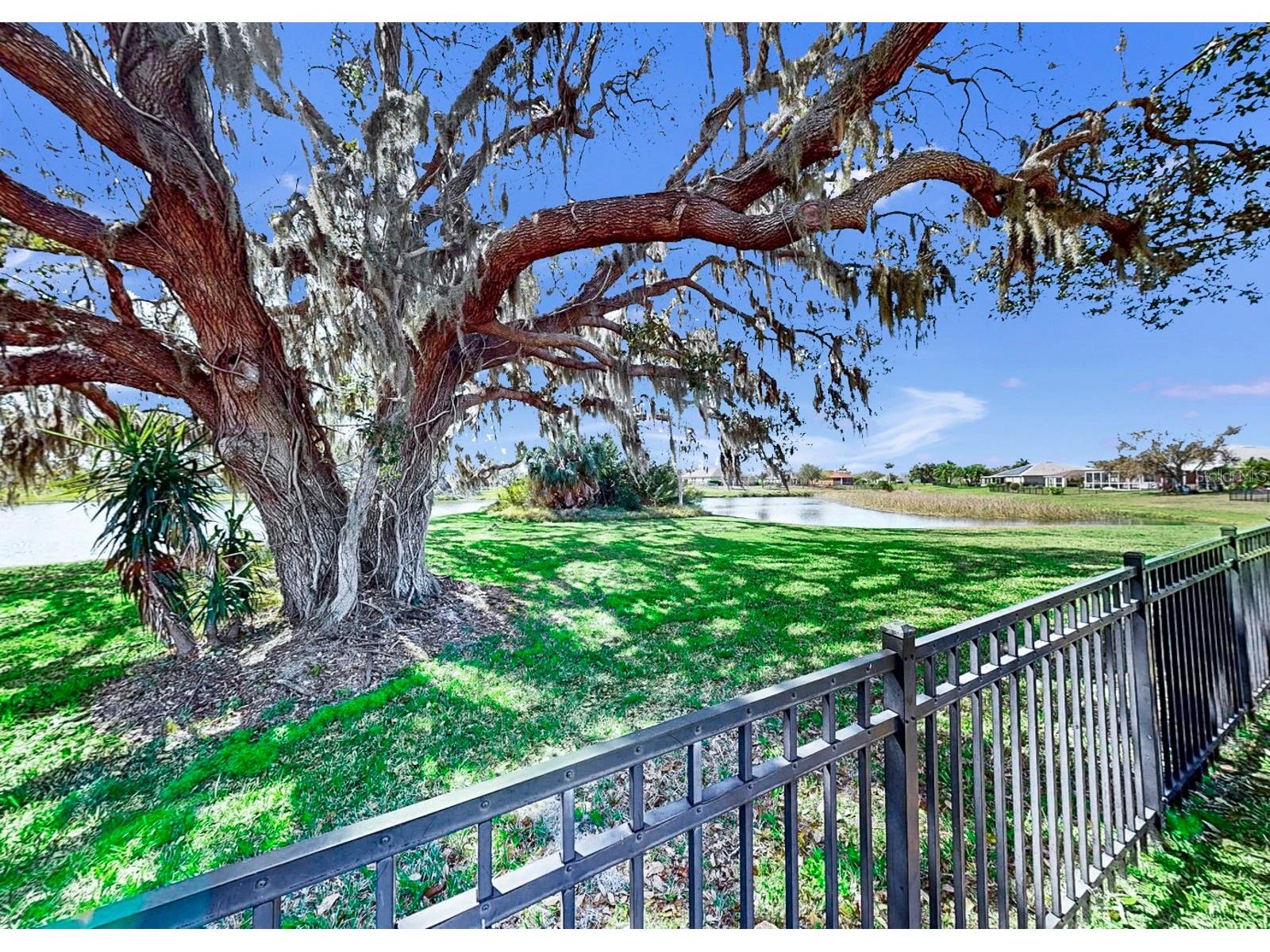 5419 Hammock View Lane Apollo Beach FL 33572 TB8477747 image47