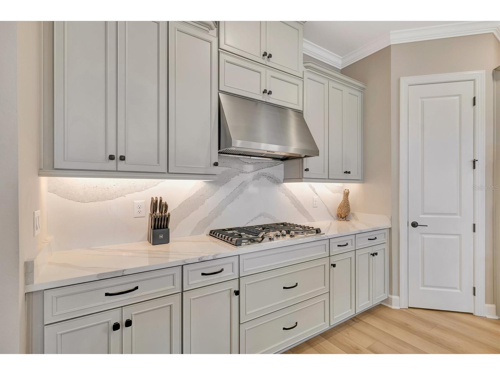5419 Orsello Street Palmetto FL 34221 - ARTISAN LAKES TB8505523 image27