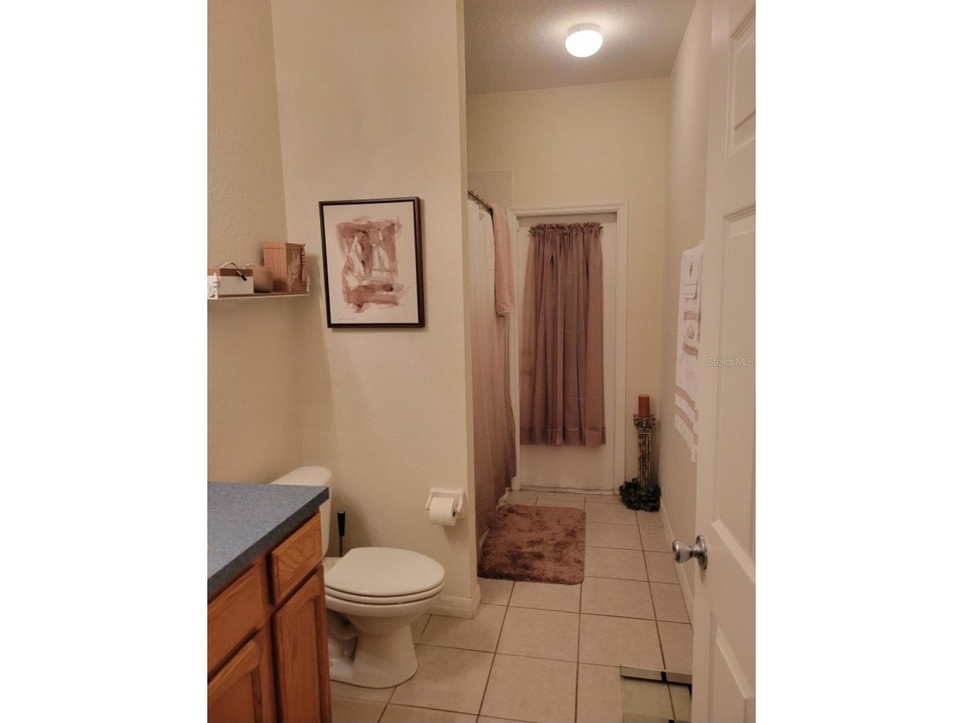 5419 Oxford Manor Circle Lakeland FL 33810 L4960341 image8