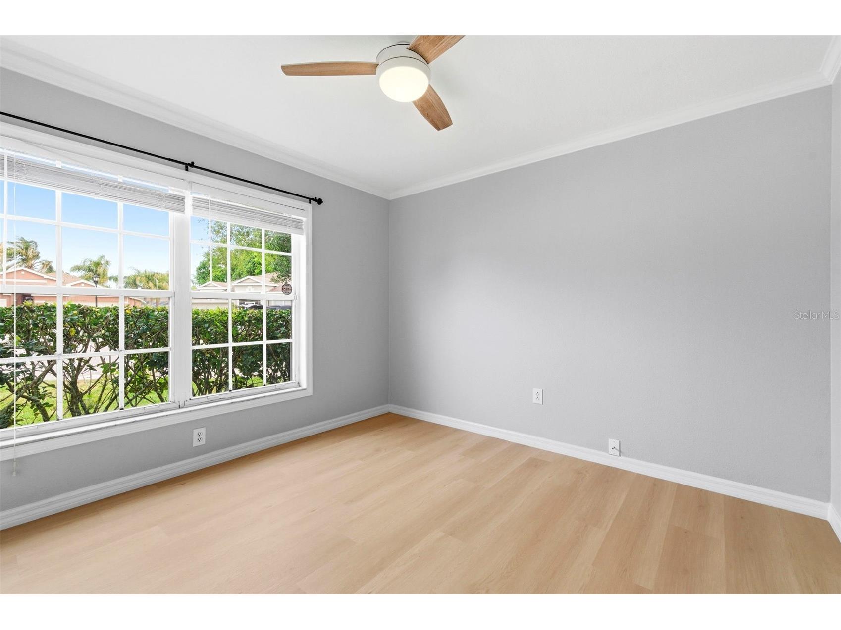 5419 Seattle Slew Drive Wesley Chapel FL 33544 TB8496038 image28