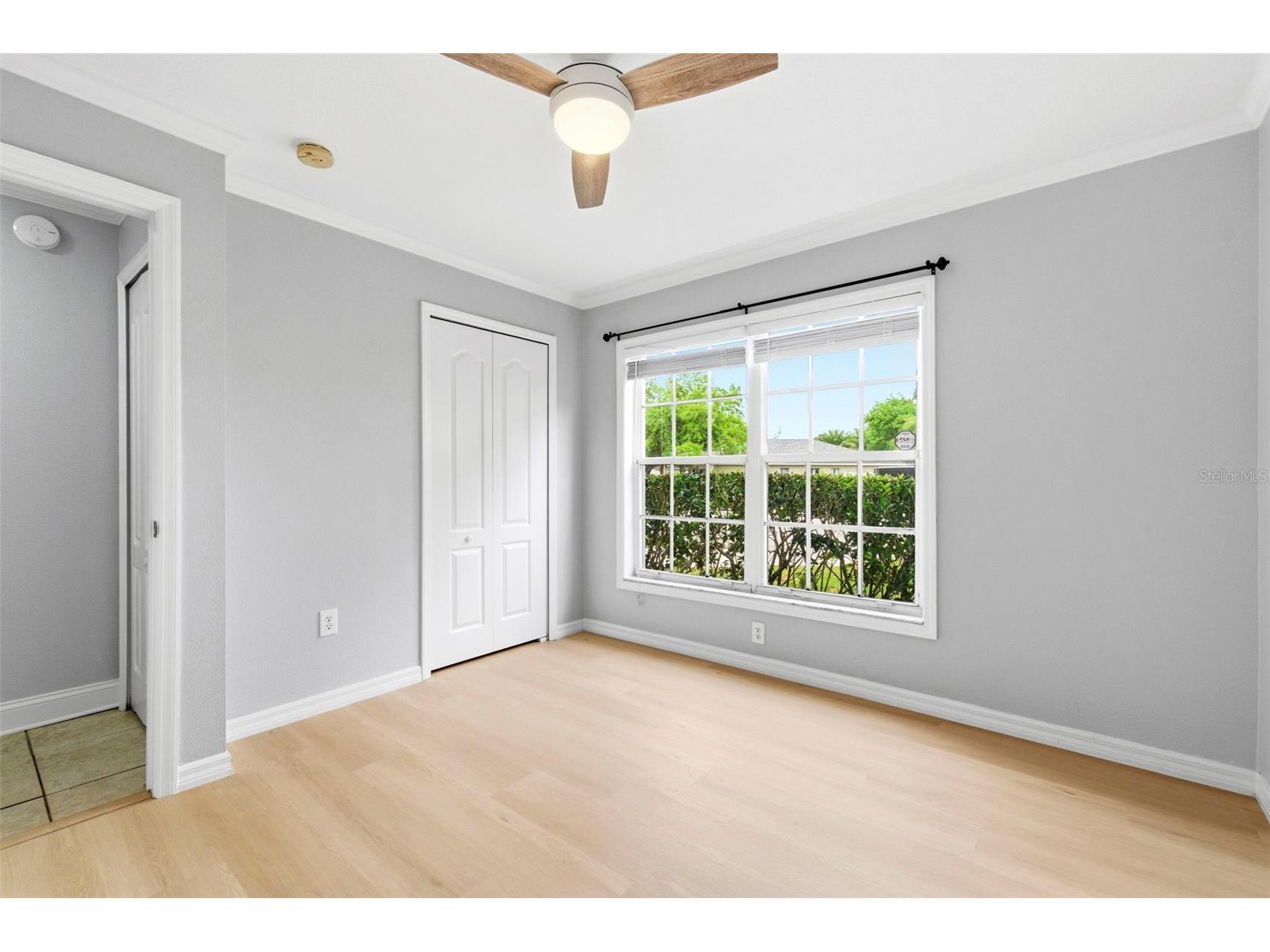 5419 Seattle Slew Drive Wesley Chapel FL 33544 TB8496038 image29
