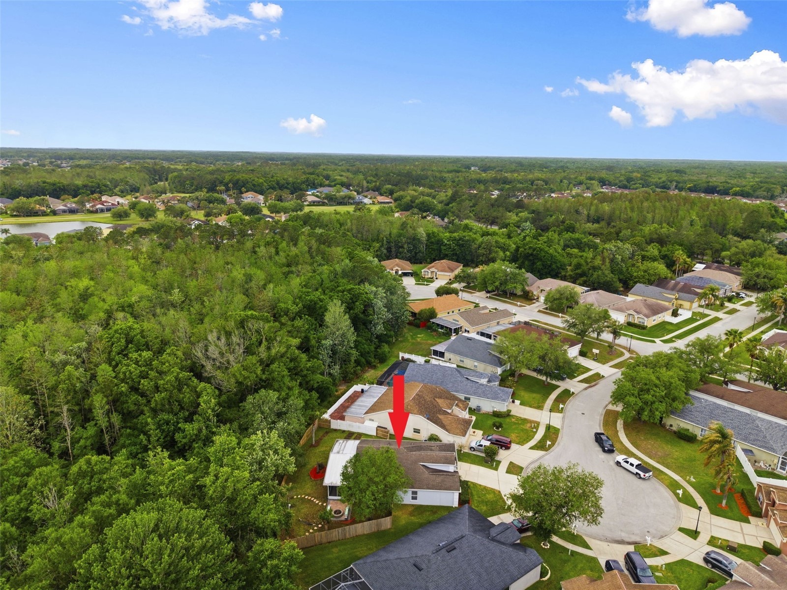 5419 Seattle Slew Drive Wesley Chapel FL 33544 TB8496038 image65