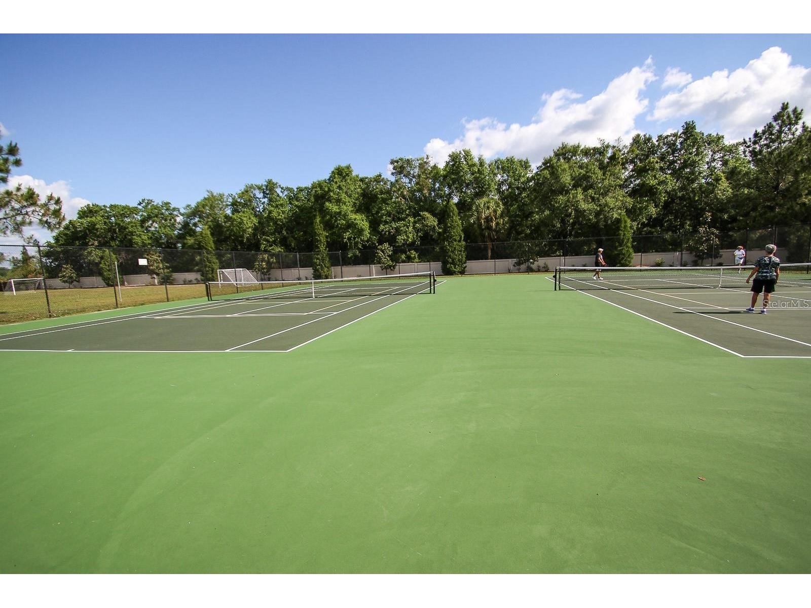 5419 Seattle Slew Drive Wesley Chapel FL 33544 TB8496038 image75