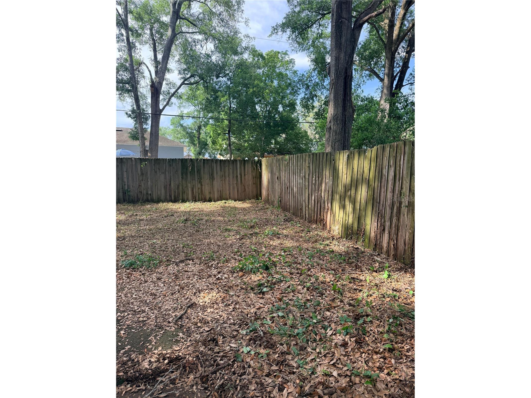 5419 Stirrup Way Orlando FL 32810 O6394597 image32