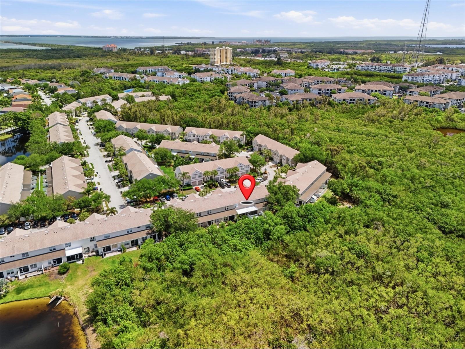 542 Black Lion Drive NE Saint Petersburg FL 33716 TB8494029 image33
