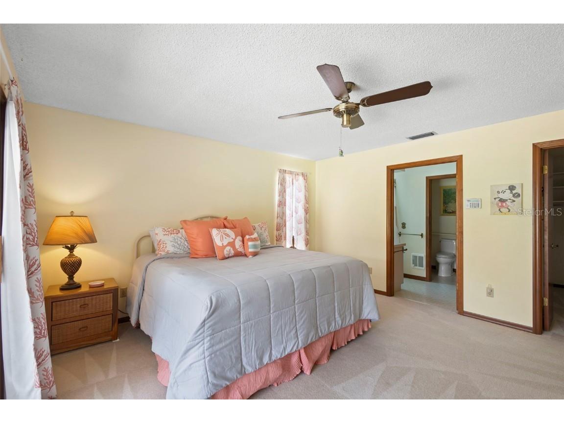 542 Cleo Lane Deltona FL 32738 - BIG LAKE & LAKE SIDNEY V4944742 image19