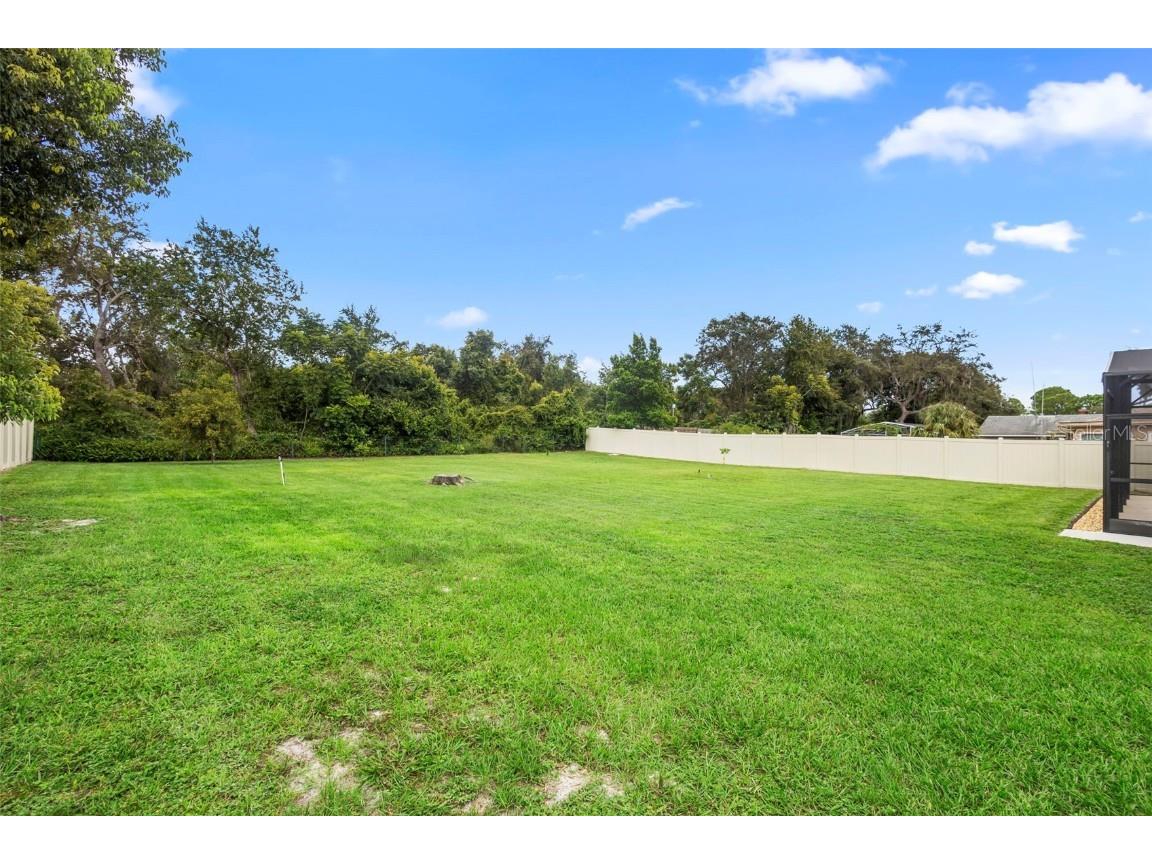 542 Cleo Lane Deltona FL 32738 - BIG LAKE & LAKE SIDNEY V4944742 image32