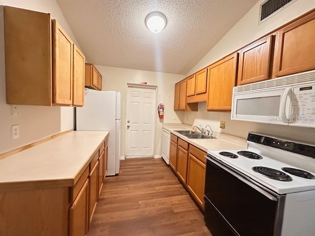 542 E Caroline Street Tavares FL 32778 G5111824 image3
