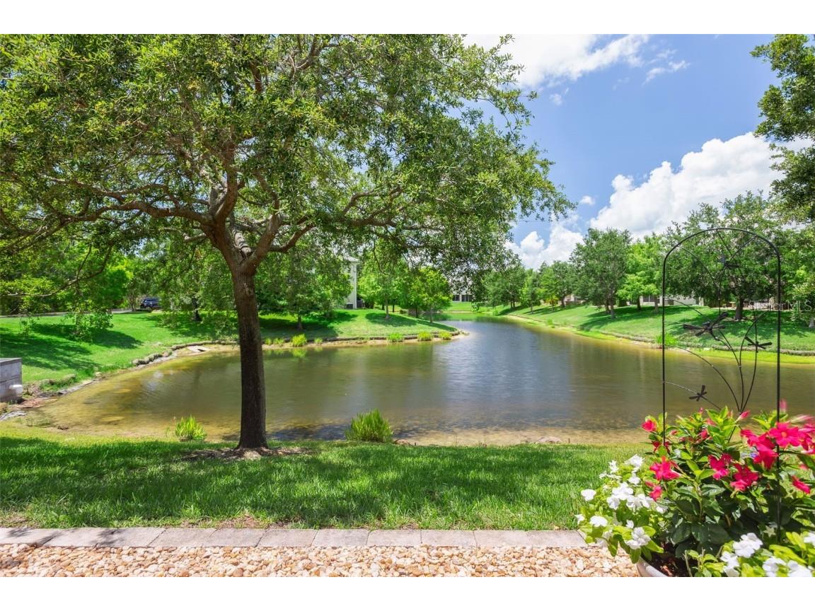 542 Harbor Ridge Drive Palm Harbor FL 34683 TB8387526 image1