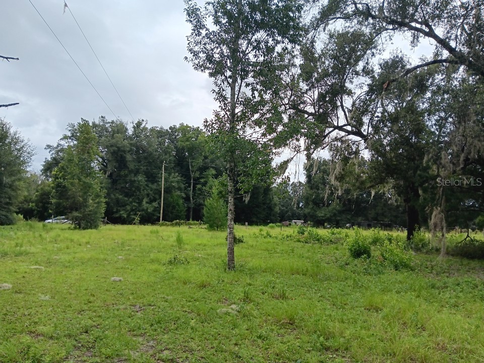 542 NW 93rd Lane Branford FL 32008 O6141479 image1