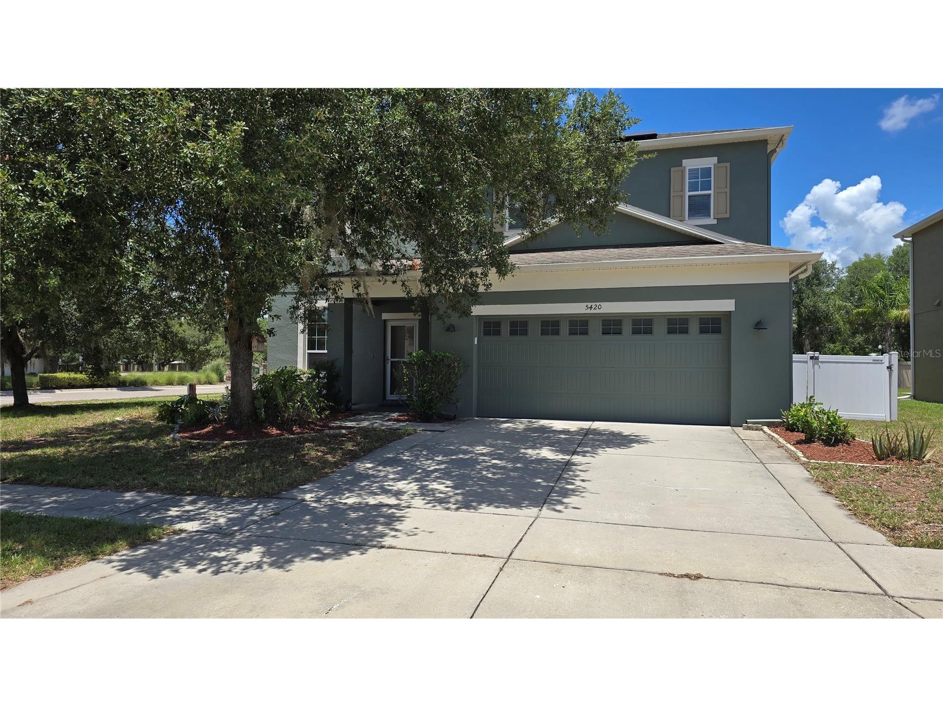 5420 Angelonia Terrace Land O Lakes FL 34639 TB8497986 image2