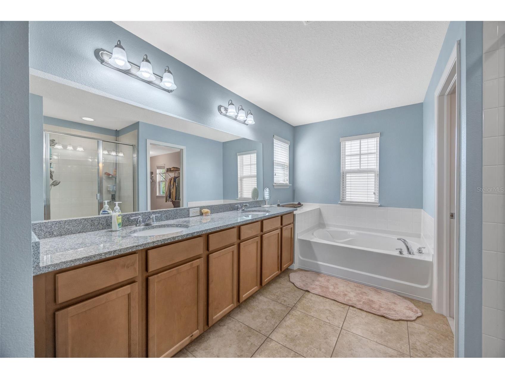 5420 Angelonia Terrace Land O Lakes FL 34639 TB8497986 image23