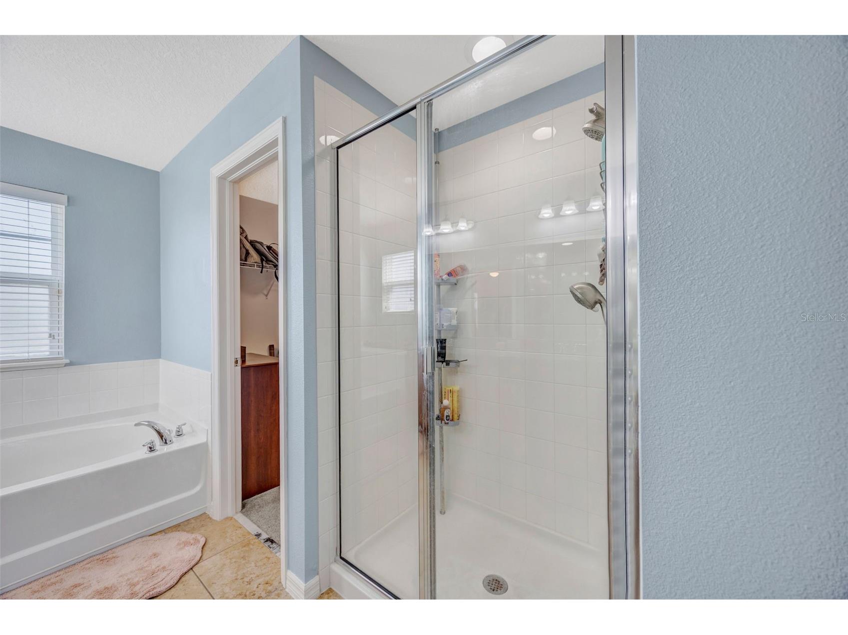5420 Angelonia Terrace Land O Lakes FL 34639 TB8497986 image24
