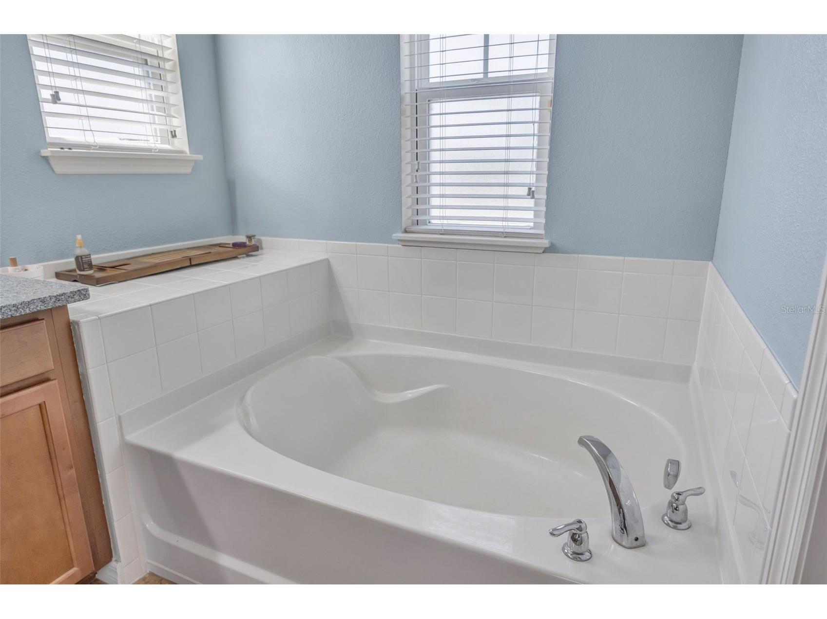 5420 Angelonia Terrace Land O Lakes FL 34639 TB8497986 image25