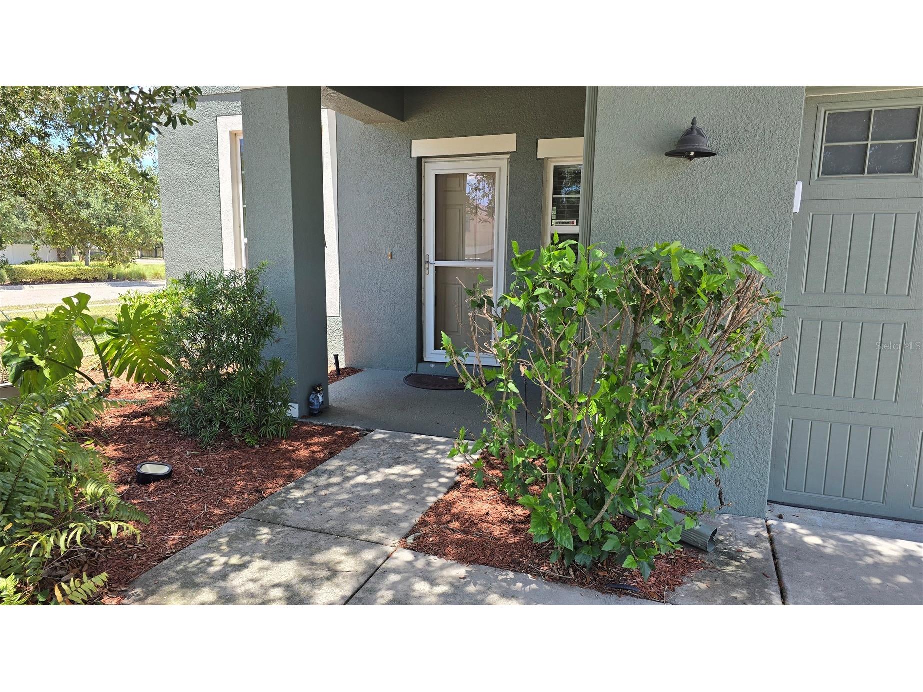 5420 Angelonia Terrace Land O Lakes FL 34639 TB8497986 image4
