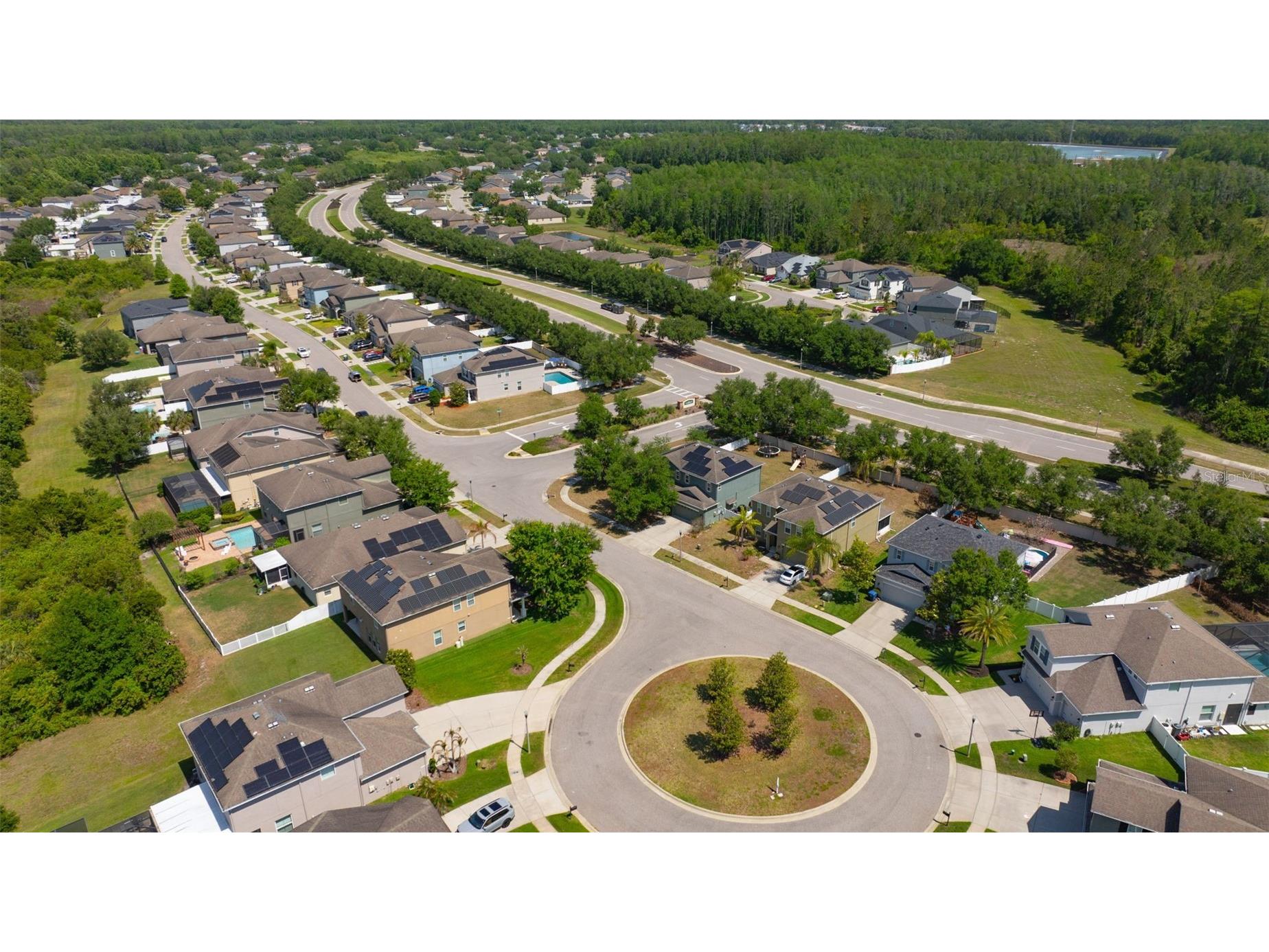 5420 Angelonia Terrace Land O Lakes FL 34639 TB8497986 image46
