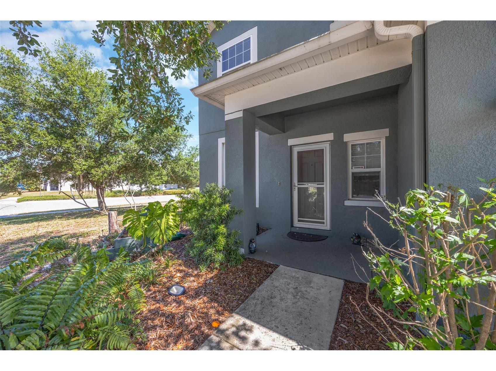 5420 Angelonia Terrace Land O Lakes FL 34639 TB8497986 image5