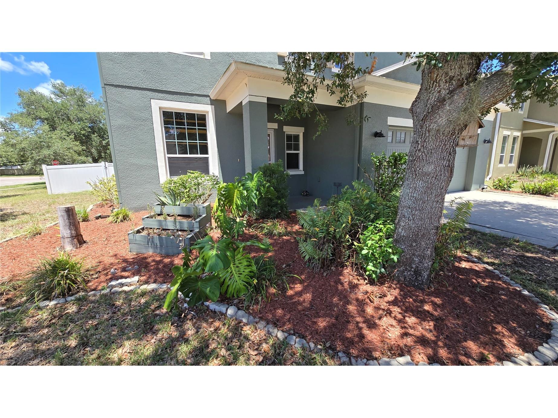 5420 Angelonia Terrace Land O Lakes FL 34639 TB8497986 image6
