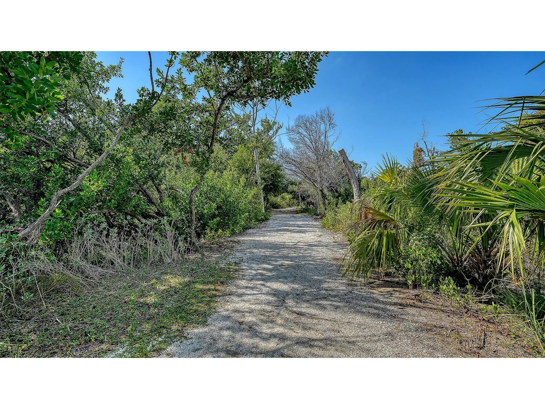 5420 Eagles Point Circle #206 Sarasota FL 34231 A4695981 image53